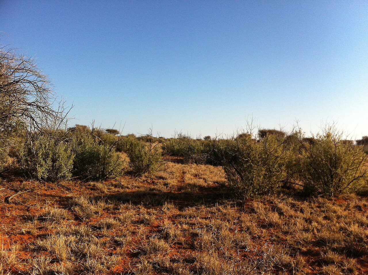 Northern Cape province, South Africa - postal codes and area map